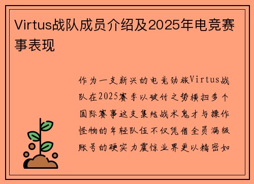Virtus战队成员介绍及2025年电竞赛事表现
